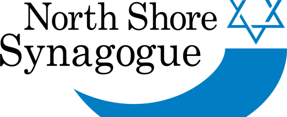 NSS Logos - NEW