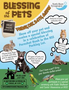 Blessing of the Pets