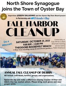 Fall Harbor Cleanup